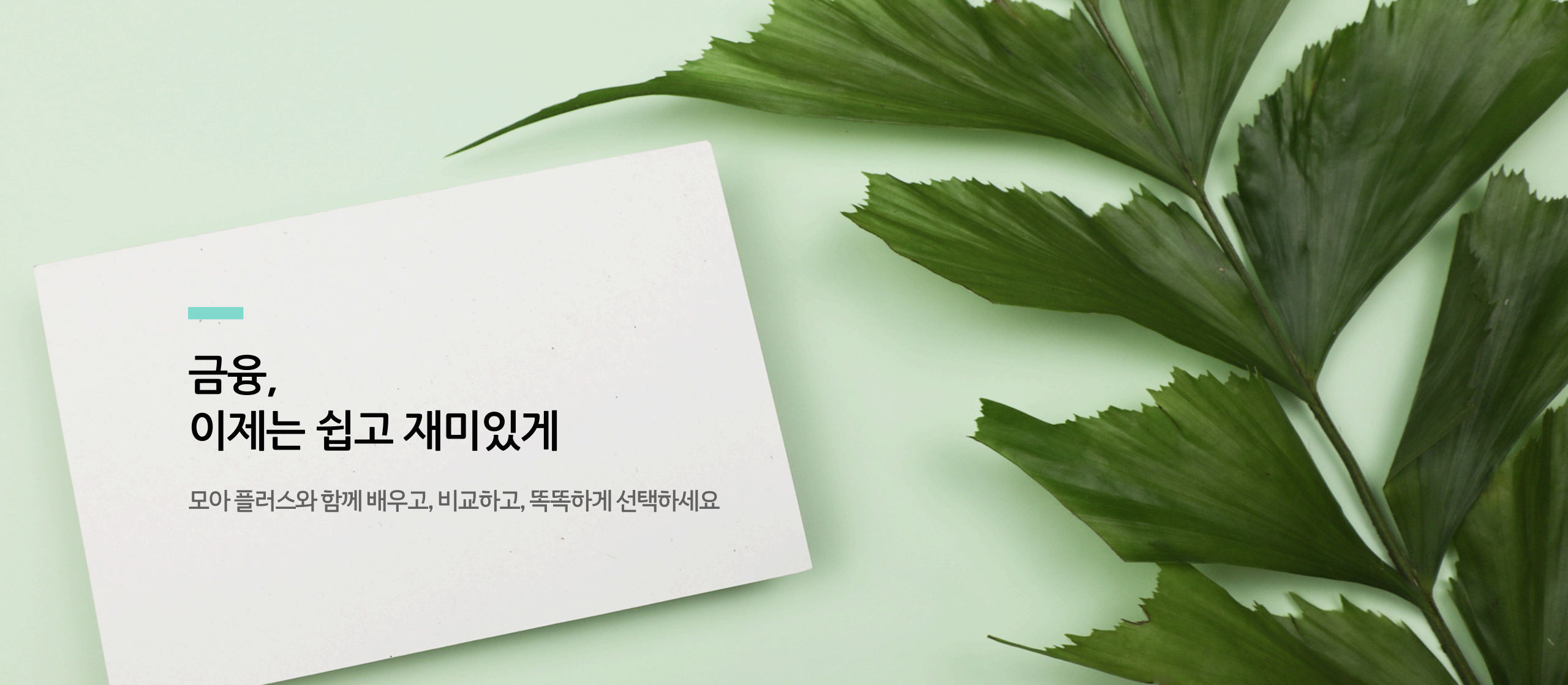 배너1
